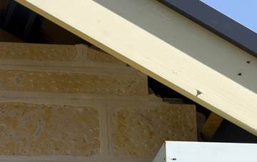 soffit repair Hemingby